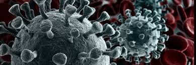 WhatsApp Image 2025-09-15 at 22.53.23